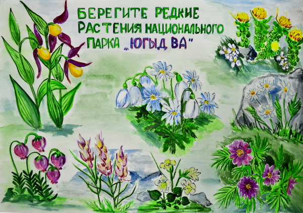 Листовка сохраним первоцветы кузбасса